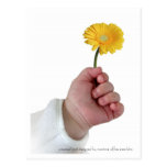 Spring baby postcard