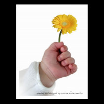 Spring baby postcards