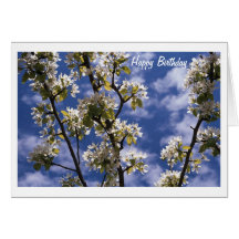 Spring Birthday Greeting Card