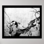 SPRING ,black and white Posters