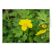 Spring Blooms Greeting Card