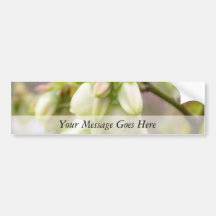 Spring Blueberry Flowers Bumper Sticker