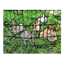 Spring Bunnies II Post Cards