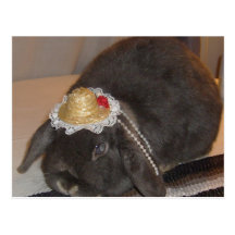 Spring bunnies post card