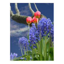 Spring Collage 2 ~ postcard