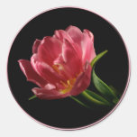 Spring Double Bloom Tulip Envelope Seal Sticker