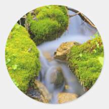 Spring Fed Mountain Stream Round Stickers