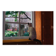 Spring Fever Photo Print