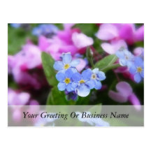 Spring Flowers - Forget Me Nots And Redbuds Post Card