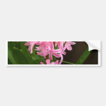 "Spring Flowers of Staten Island"  CricketDiane Ar Bumper Stickers