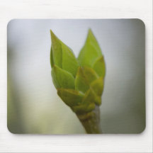 Spring Green Mousepad