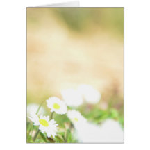 Spring III Cards