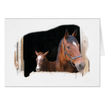 Spring in Hunt Country Greeting Cards