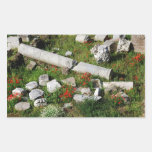 Spring in Rome Rectangle Sticker