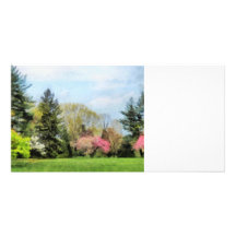 Spring Landscape Photo Cards