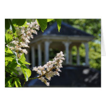 'Spring' Notecard