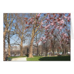 Spring on the Champs-Elysées Cards