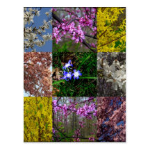 Spring Patchwork Postcard