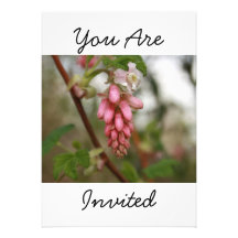 Spring Pink Tree Blossom Invitation