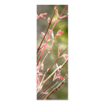 Spring Renewal Business Card Templates