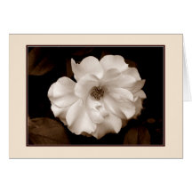 'Spring Rose (Sepia)' Greeting Card