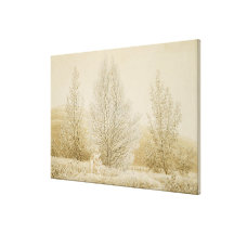 Spring Stretched Canvas Prints