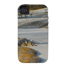 Spring Thaw 5 iPhone 4/4S Covers
