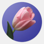 Spring Tulip Envelope Seal Sticker stickers