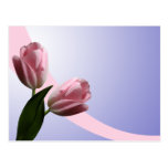 Spring Tulips Save The Date Postcard postcards