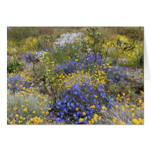 Spring wildflowers Card