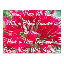 Spring With a Blend of Summer in the Sun Post Card