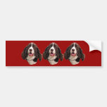 Springer Spaniel Head Bumper Sticker