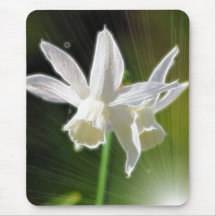 Springs Bright Stars Mousepads
