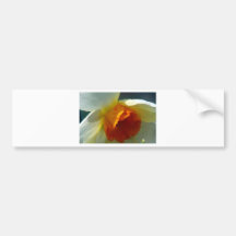 Springtime Bumper Stickers