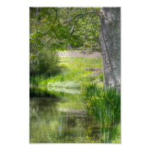 Springtime Pond Photo Print