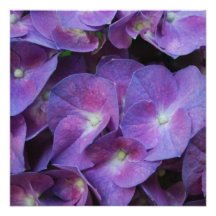 Square Invitation - Customized
