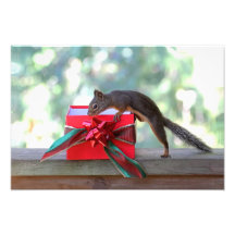 Squirrel and Christmas Present Photo Art