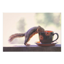 Squirrel and Coffee Cup Photo Art