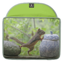 Squirrel and Cookie Jar MacBook Pro Sleeve