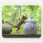 Squirrel and Cookie Jar Mousemats