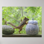 Squirrel and Cookie Jar Poster Print
