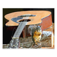 Squirrel and Guitar Photo Print