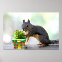 Squirrel and Wrapped Present Print