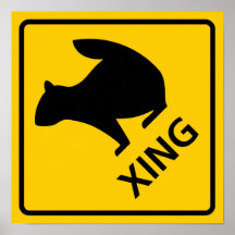 Squirrel Crossing Highway Sign Posters