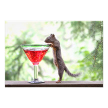 Squirrel Drinking a Cocktail Art Photo