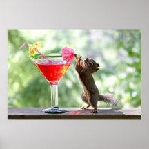 Squirrel Drinking Cocktail Poster