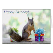 Squirrel Happy Birthday! Greeting Cards