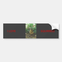 SQUIRREL, I LOVE, SQUIRRELS BUMPER STICKER