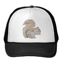 Squirrel Illustration Mesh Hats
