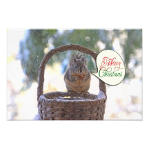 Squirrel in Snow Saying Merry Christmas Art Photo